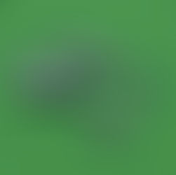 MiG-21 Fishbed & Ordinanc