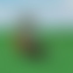 Pepper's Pirate Ship