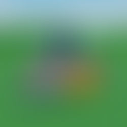 Splash Mountain Finale Boat