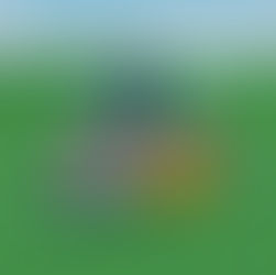 Splash Mountain Finale Boat