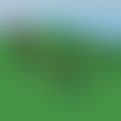 Vekoma Boomerang Coaster