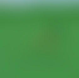 Duinrell Monorail Kit