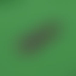 Happy's Jungle Birds Set