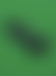 Ivan's F1 Racing Car