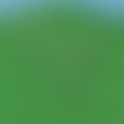 Gold LSM Wing Coaster