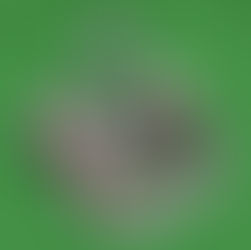 Barn Themed Double Swing