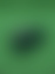 Ultra Realistic Alligator