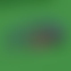 Medieval Themed Junior Coaster