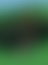 Down the Rabbit Hole