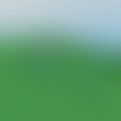 GTR Blad3’s RMC Raptor