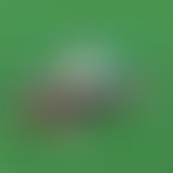 Mini Hyperspace Mountain