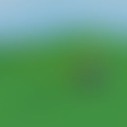 b1g's Vekoma Invertigo Coaster