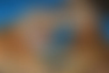 असम के चिड़ियाघर में पैदा हुए दो रॉयल बंगाल टाइगर शावक, सीएम हिमंत बिस्वा ने शेयर की मनमोहक तस्वीरें