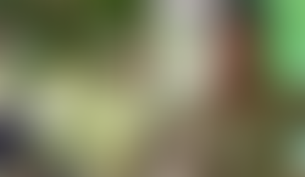 बेटी से छेड़छाड़ के शक में पिता का उत्पात: युवक की हत्या कर शव नहर किनारे फेंका