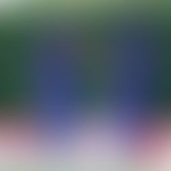 टी20 विश्व कप में भारतीय टीम की बल्लेबाजी को सचिन ने सराहा