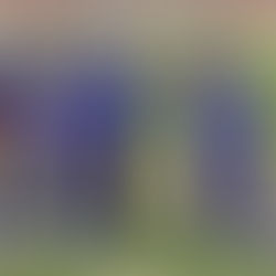 Ind vs WI : पहली मैच में भारत ने हासिल की 6 विकेट से शानदार जीत