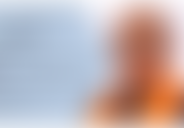 गुजरात : मुख्यमंत्री श्री भूपेंद्र पटेल की अध्यक्षता में कोर कमेटी में लिए गए अहम फैसले