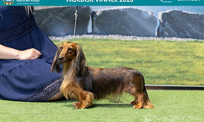 N UCH NJV-21 NORDV-23 Lurvelegg's Nothing Compares