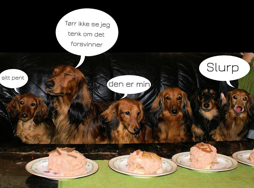 kake med tekst_edited.jpg