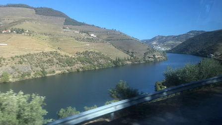 Vinhos do Porto