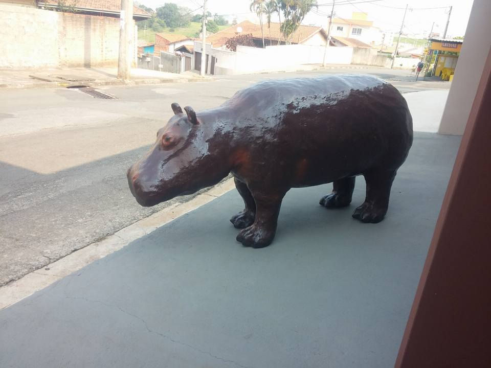 Hipopótamo