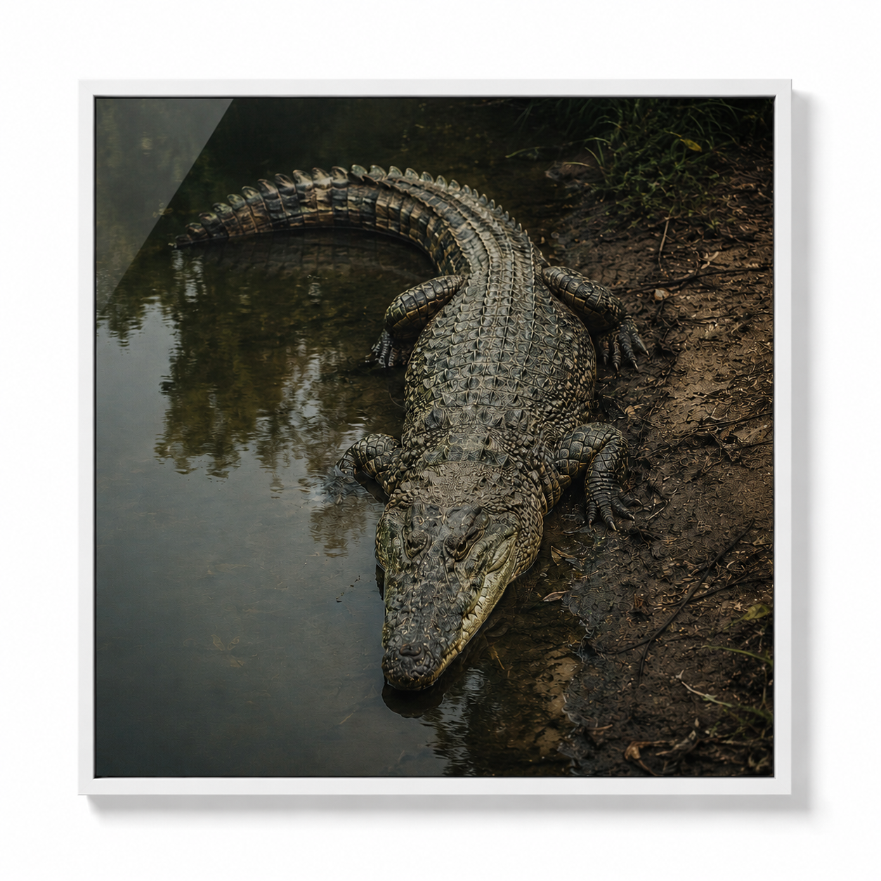 ChatGPT Image May 19, 2026, 12_49_12 AM (2).png