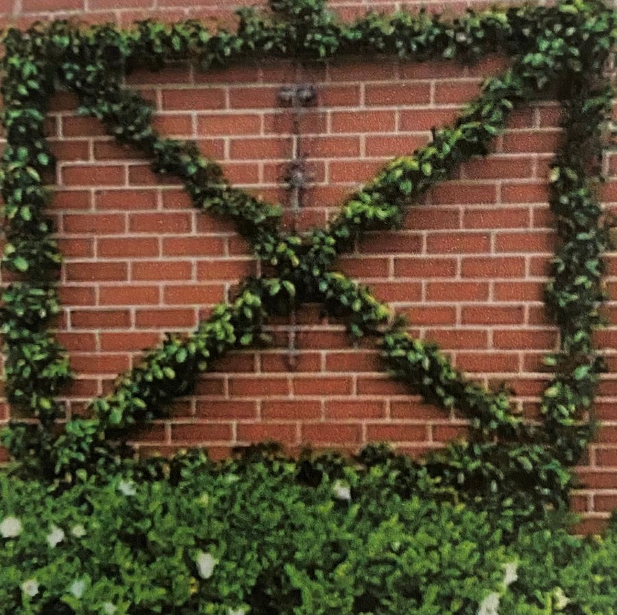 Front Yard Landscaping - the plan and working with a landscape architect