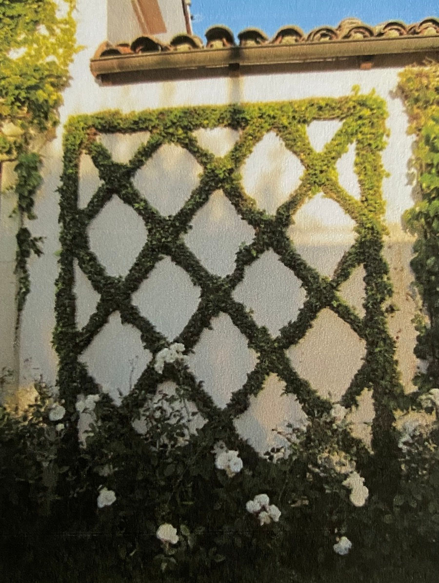 tips for working with a landscape architect X trellis