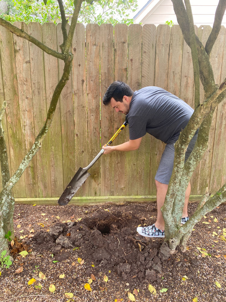 DIY Backyard String Lights