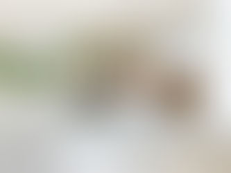 White and brass marble kitchen makeover