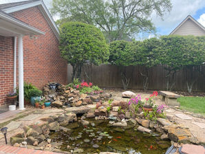 Backyard Makeover/Refresh- before photos and the plan