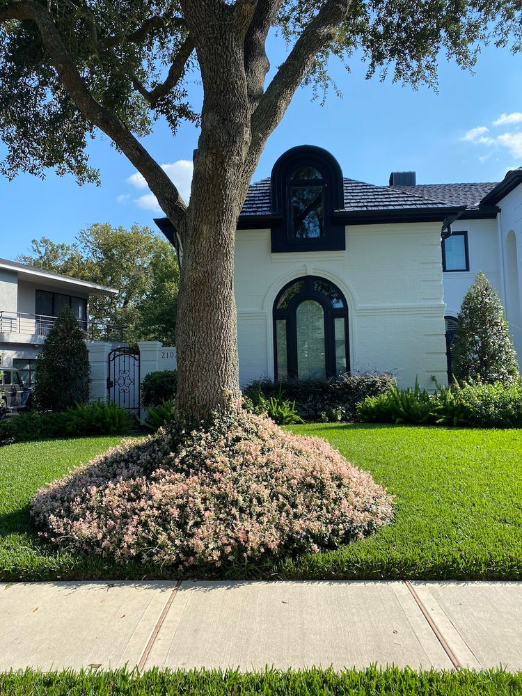 Front Yard Landscaping - the plan and working with a landscape architect