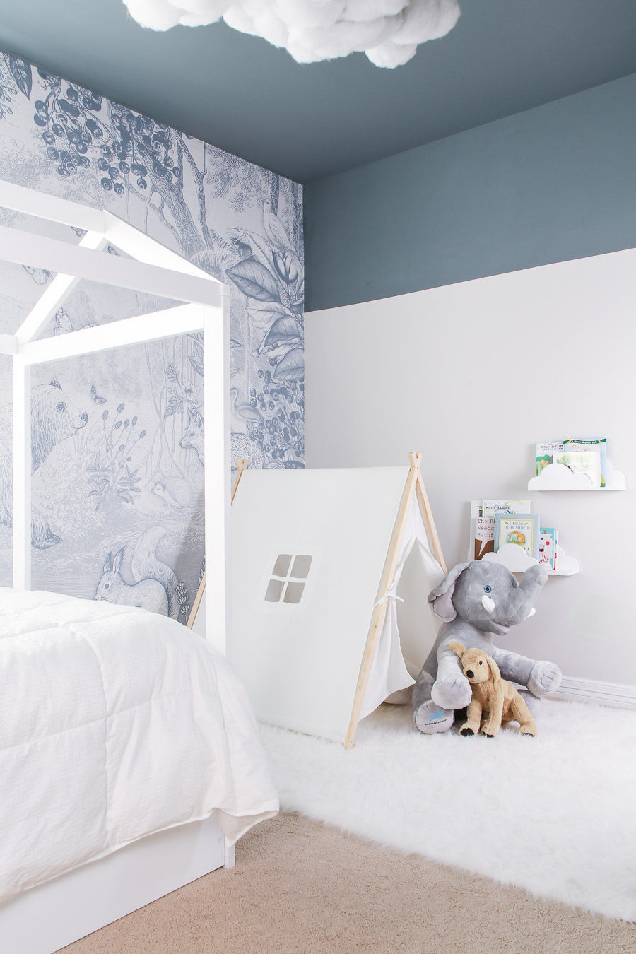 painted ceiling ideas