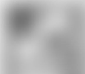 The Artistic Sentence