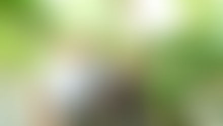 PASSIONATE GARDENER!