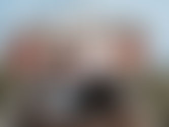 Mairead & Scott & Murphy - Puppy Love!