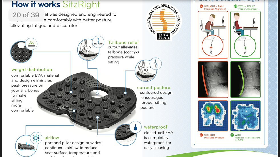 Thumbnail: SitzRight