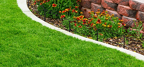 165-in-h-x-75-ft-w-lattice-metal-garden-