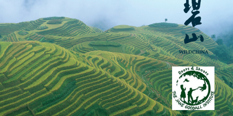 Breaking Into Sustainability: Women’s Empowerment Through Travel