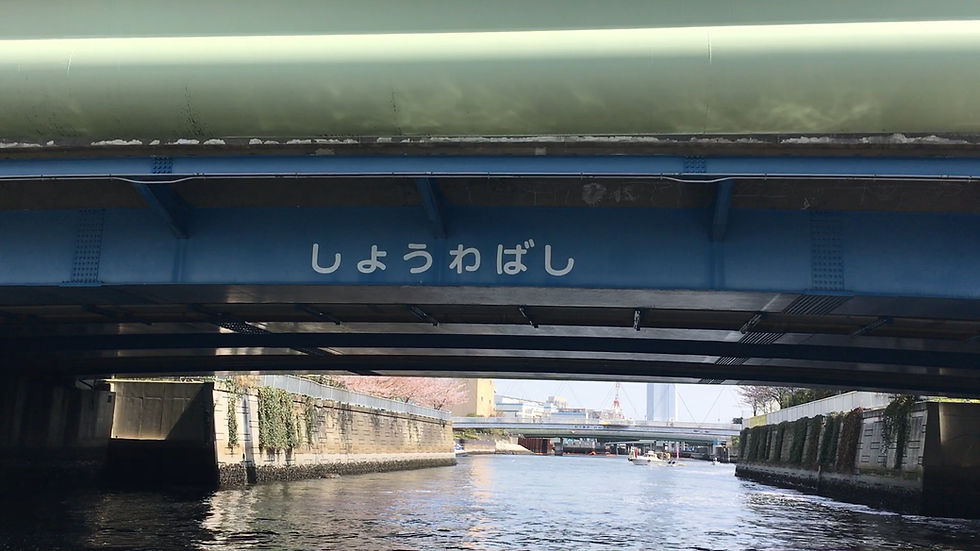 サムネイル： ルート6桜クルーズ“目黒川”