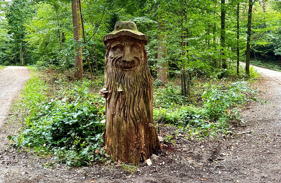 Geschnitzte Holzfigur an einer Weggabelung im Wald bei der Finnebahn Schürhau in Nürensdort. Foto: Iria Lacarta