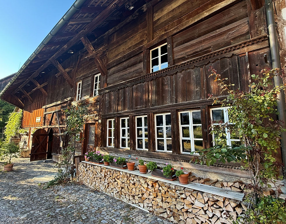 Bücheler-Hus Kloten