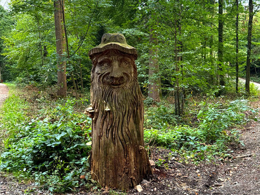 Fitnessstudio Wald. Eintritt: gratis.