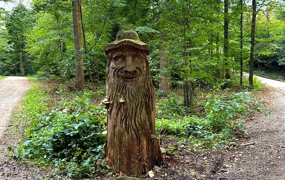 Fitnessstudio Wald. Eintritt: gratis.