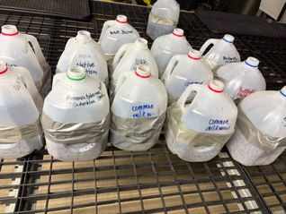 Milk Jugs for Railroad Gardens?