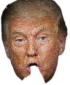 img_83cedf1739158b8b69af76e15d357f492215