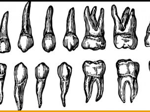 La véritable raison pour laquelle on se brosse les dents.