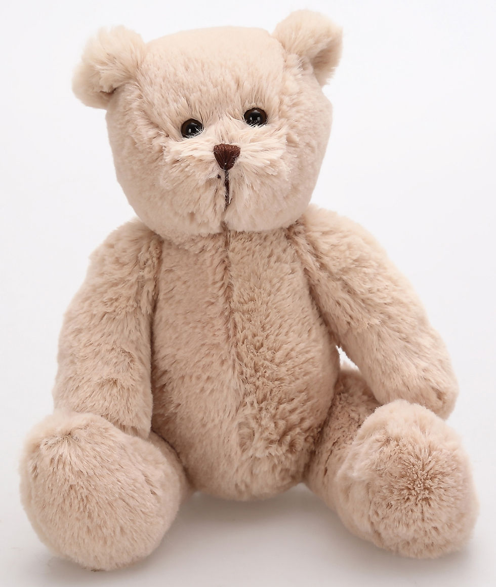 Thumbnail: Cardiology Promo Anniversary Gift-Free Logo-Hoodie Bear Beige