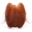 Thumbnail: Academic Owl, A Wise Bird Plush with Spectacles	 Customizable for Your Promo