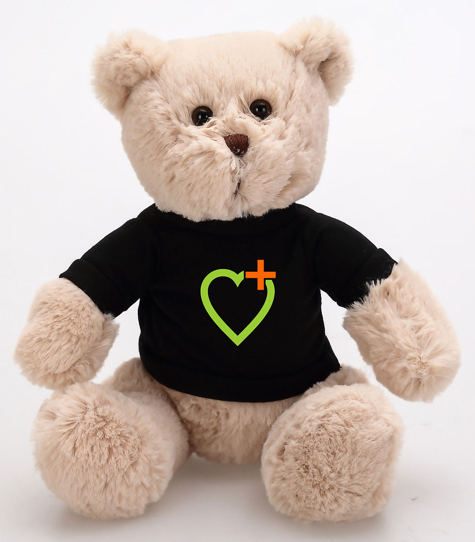 BEAR&#39;sページ Amazon.com: 20